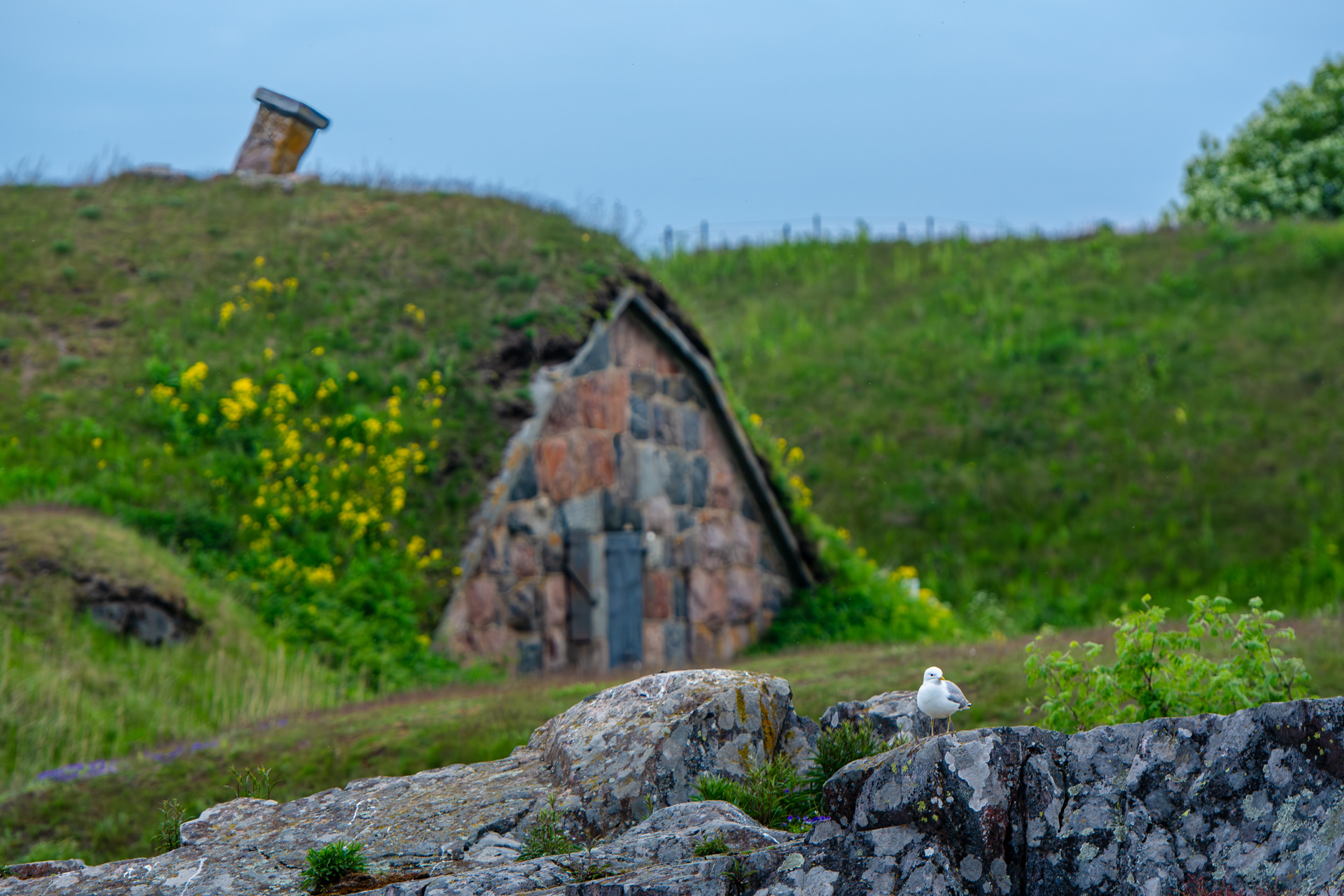 Suomenlinnan hoitokunta, kuva 72
