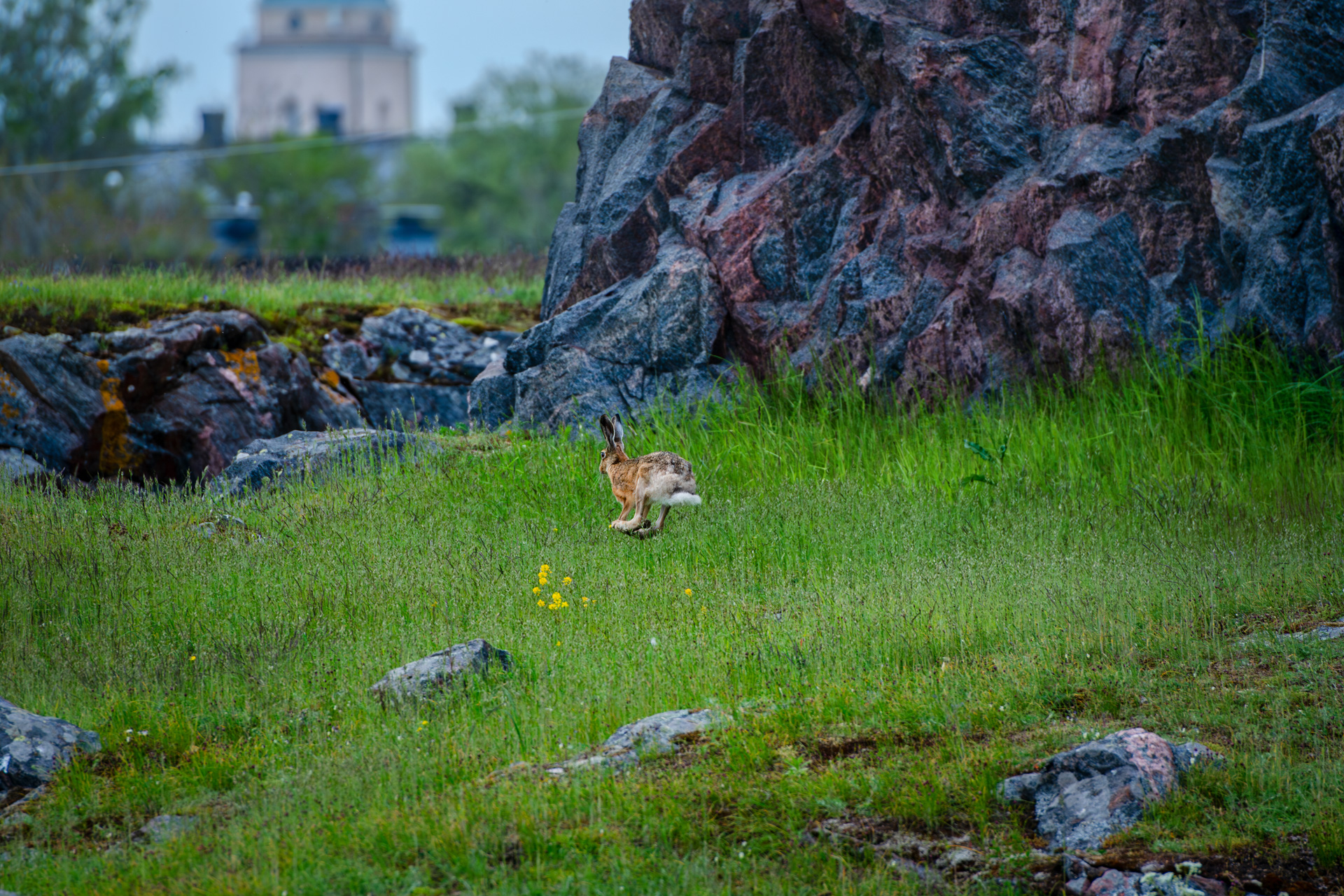 Suomenlinnan hoitokunta, kuva 73