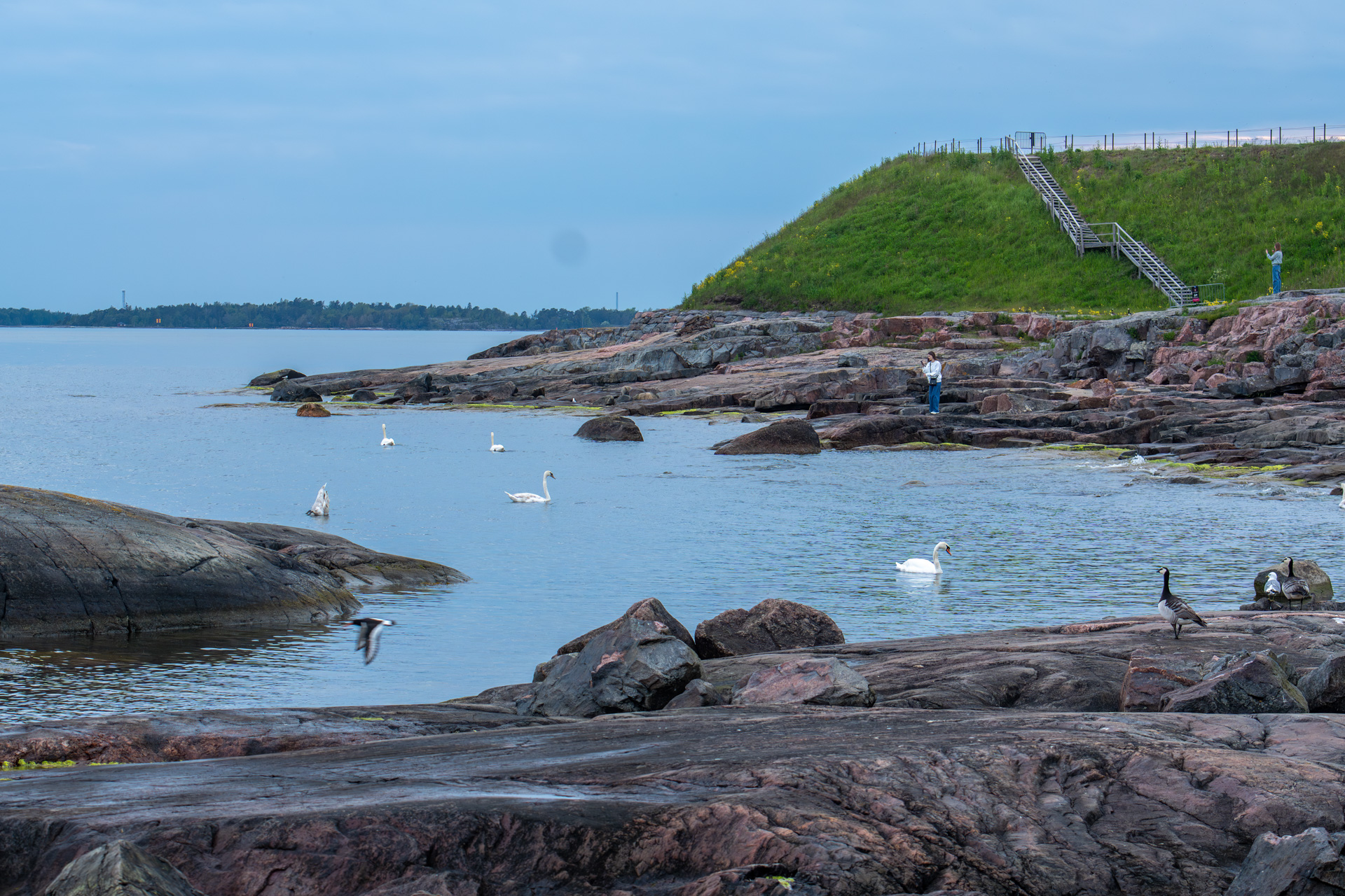 Suomenlinnan hoitokunta, kuva 74